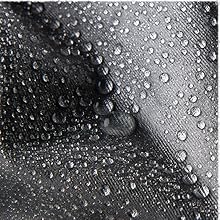 Running Belt, Secure Jogging Pouch For Men & Women, All Cell Phones, Keys, Essentials