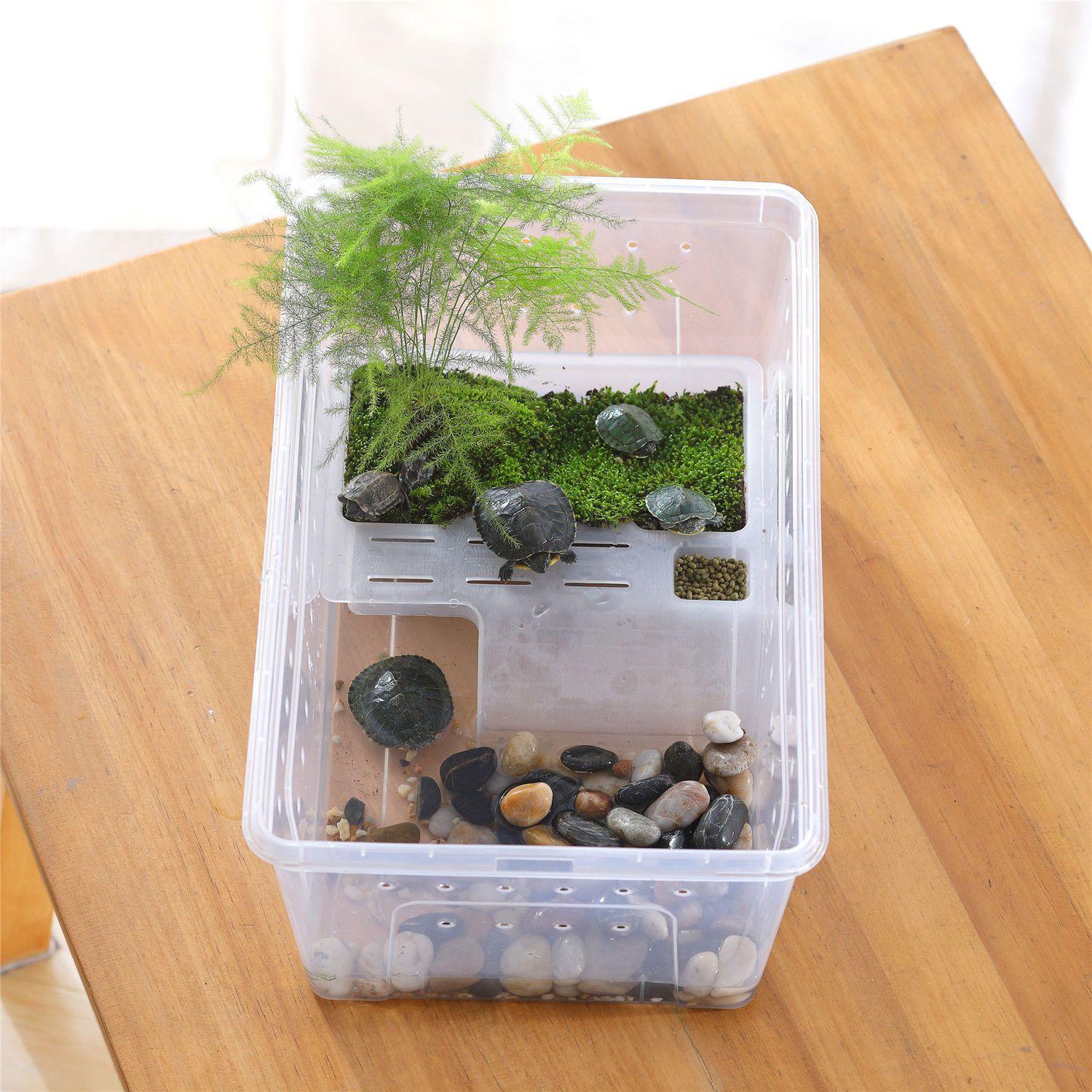 Plastic Small Turtle Tank with Basking Platform Decorative Pet Turtle Tank Brazilian Turtle Breeding Box Amphibious Box with Lid