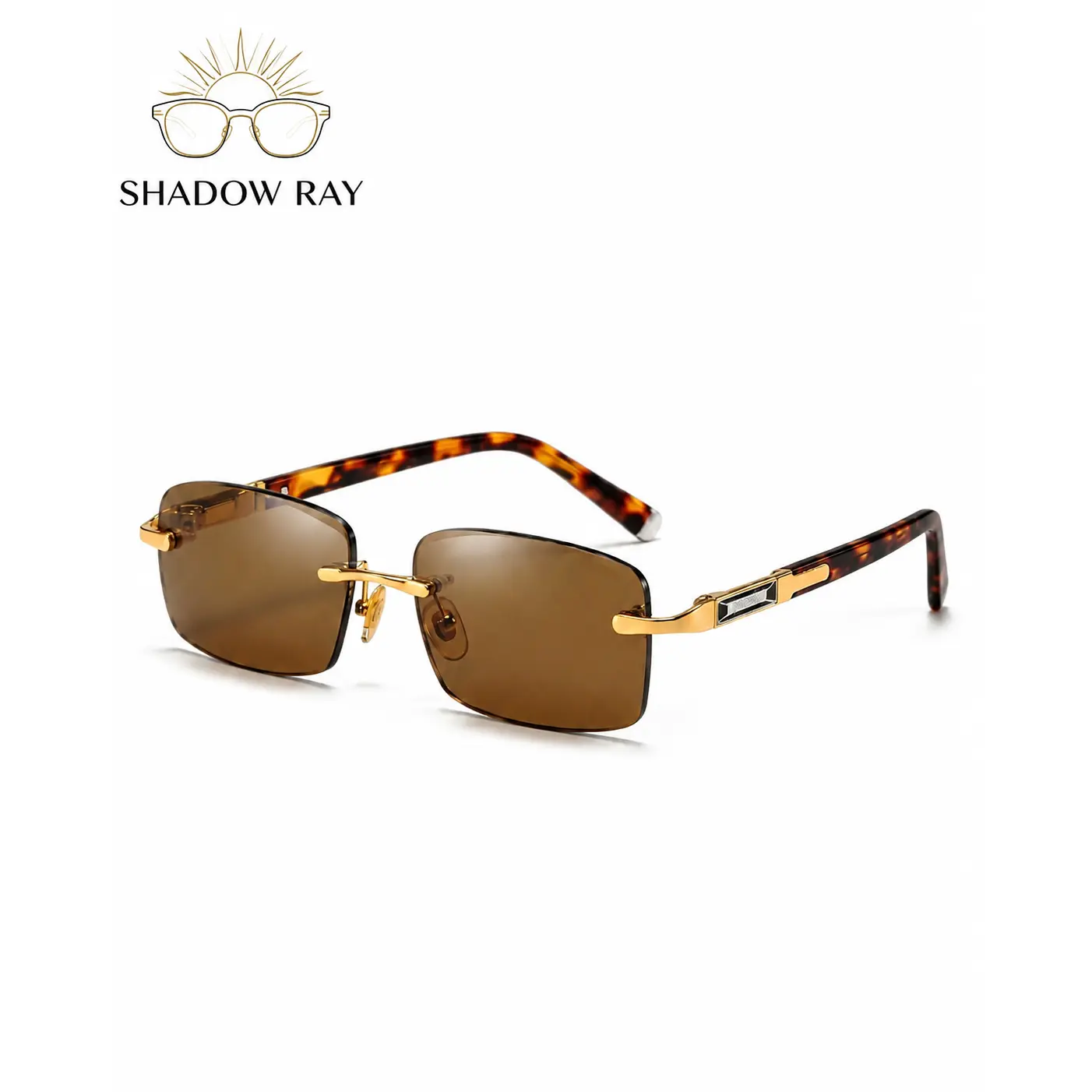 Timeless Tortoise Gold Frame Sunglasses – All Season Staple