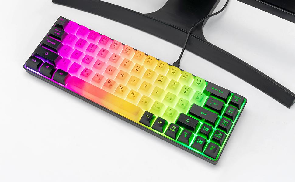 Mini RGB 60% Gaming Keyboard, 68 Keys Small Compact USB Wired Rainbow Light Up Backlit Gaming Keyboard for Xbox PS4 PS5 PC Laptop Gamer(White-Black)