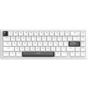 X65 HE Wired Rapid Trigger   65% Mechanical Gaming Keyboard, Hall Effect Top Mounted RGB Hot Swap,Adjustable Actuation,8KHZ Polling Rate,PBT Keycaps for Win/(White)