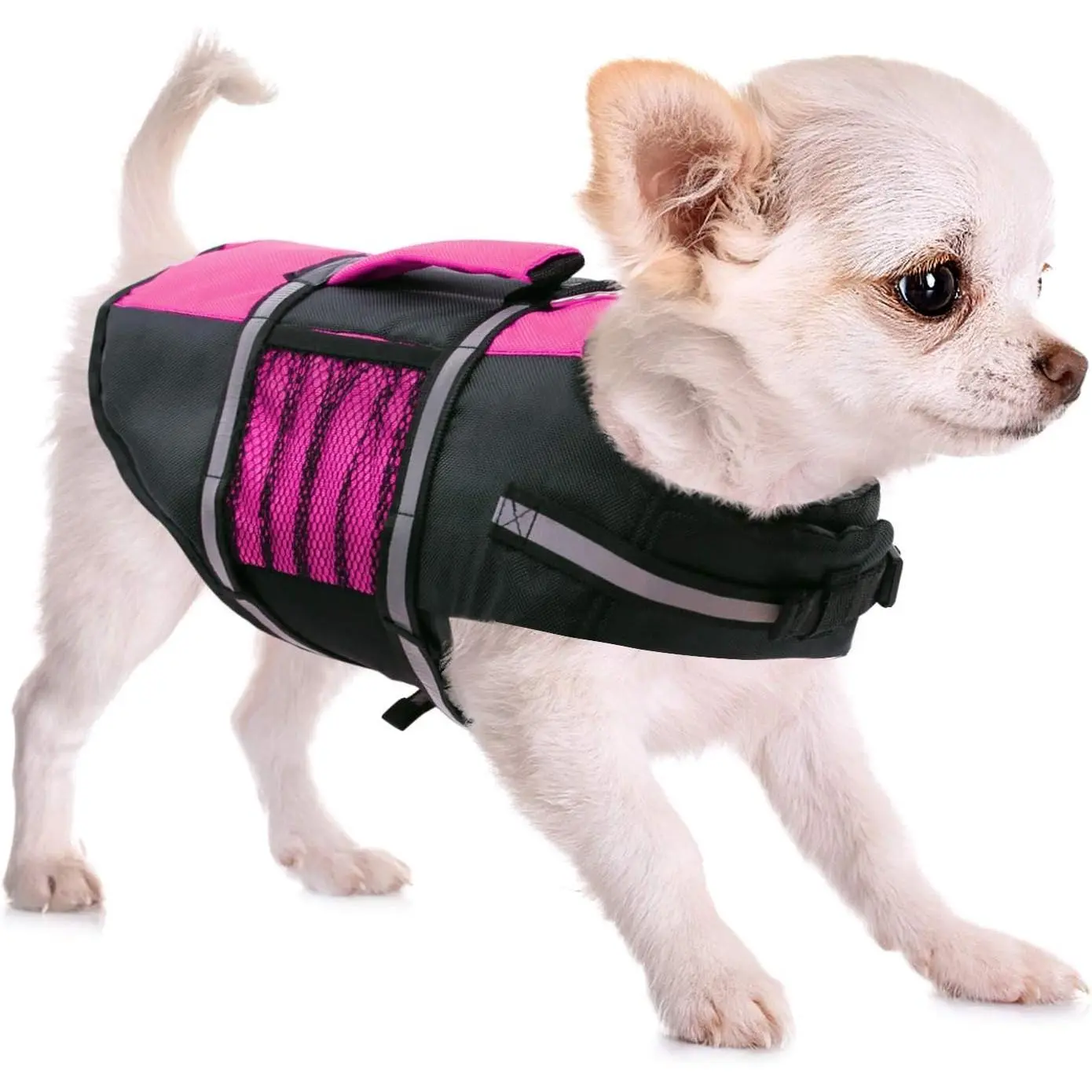 High Buoyancy Small Dog Life Jacket - Adjustable Pet Swimming Aid with Rescue Handle, Reflective Bands for Boating, Canoeing