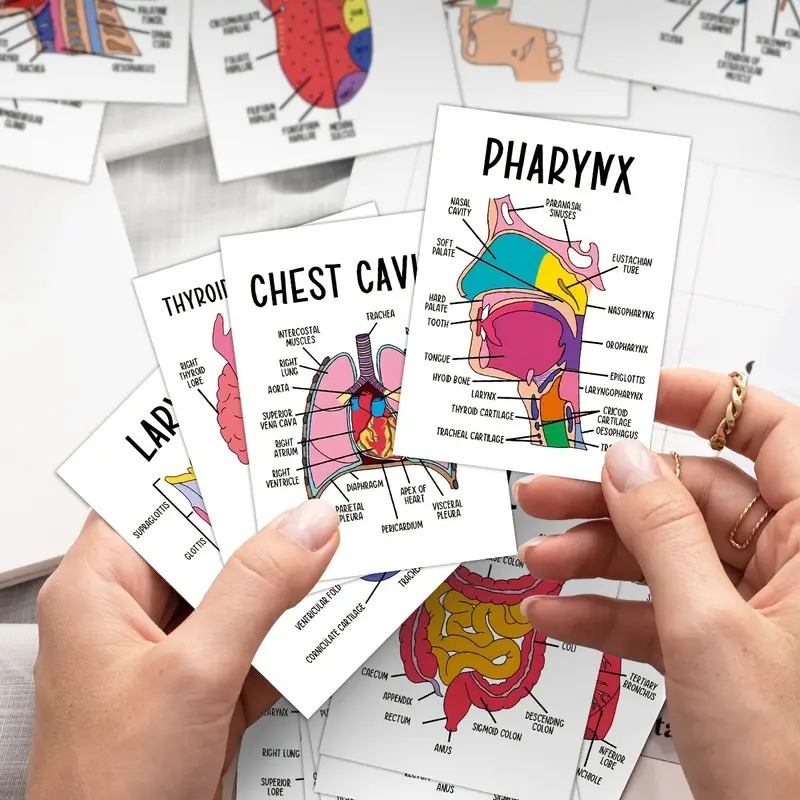 30 PCS Human Anatomy Flash Cards, Medical Study Cards with Detailed Body Illustrations and Labeled Organs, Anatomy Learning Cards for Nursing Students, Medical Students, Biology & Physiology