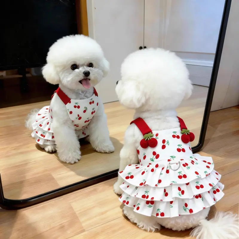 Cute Ins Style Summer Princess Dress for Cats and Small Dogs, Thin Breathable Skirt for Teddy, Bichon, Pomeranian, Kitten Clothes, Puppy Clothes