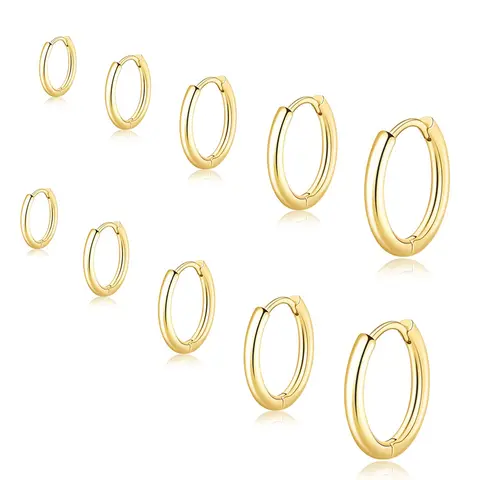 5Pairs Stainless Steel Hoop Earrings Set for Women Men Gold Silver Small Huggie Hoop Earrings Hypoallergenic Cartilage Piercing Jewelry Multi-size Earrings Hoops