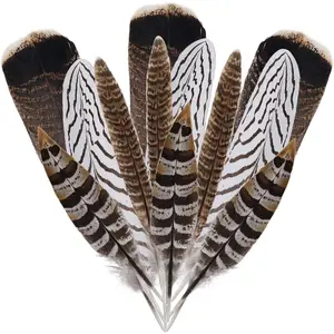 12Pcs Natural Pheasant Feathers 10-30cm 4 Style Feathers Mixed Feathers DIY Craft Wedding Home Party Decorations