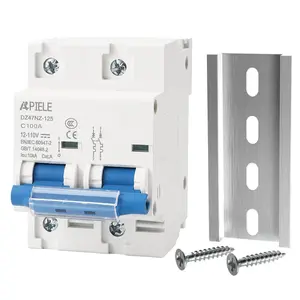 DC Miniature Circuit Breaker 12-110V 125Amp 2Pole Thermal Magnetic Trip DC Disconnect Switch DIN Rail Mount for Solar PV Systems