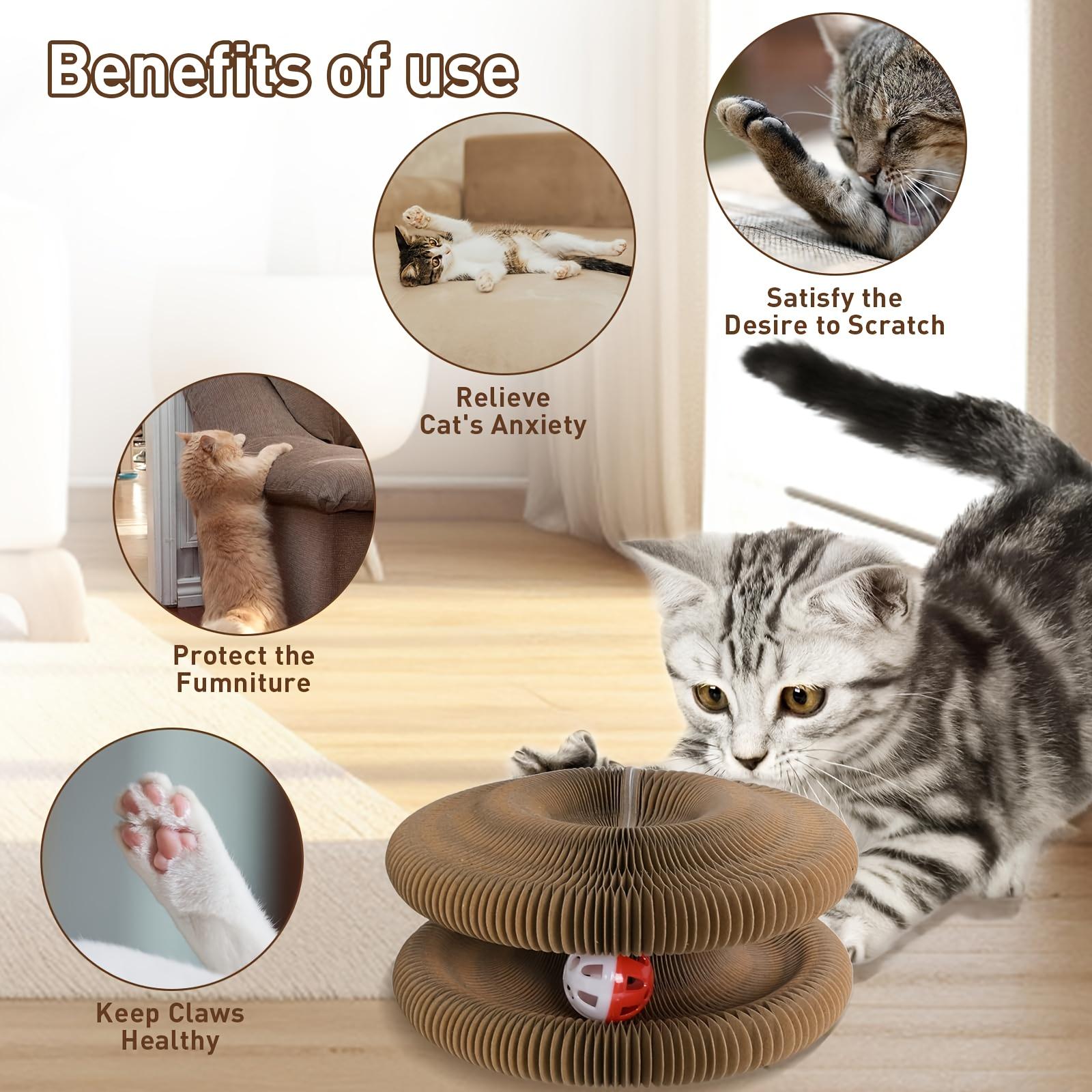 1/2pcs Magic Organ Cat Scratcher Board Cat Ball Adventure The Ultimate Interactive Mental Physical Exercise for Indoor Cats Toy, Without Battery