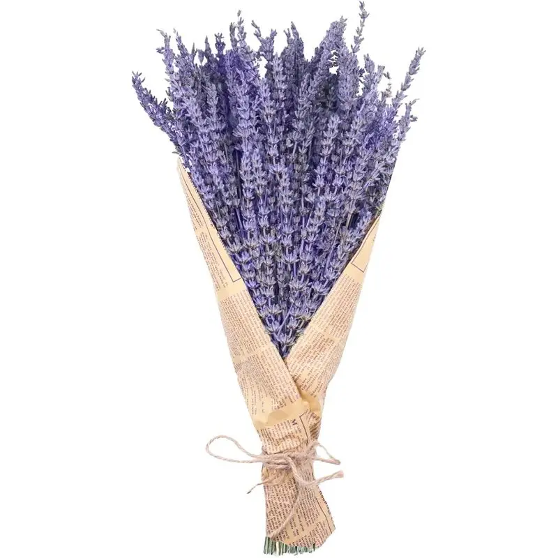 Natural Dried Lavender Flower Bouquet with Fragrance, 150 Stems, 15-17 in, 50g, for Home Decor, Wedding Crafts & Farmhouse Arrangements, Bouquets
