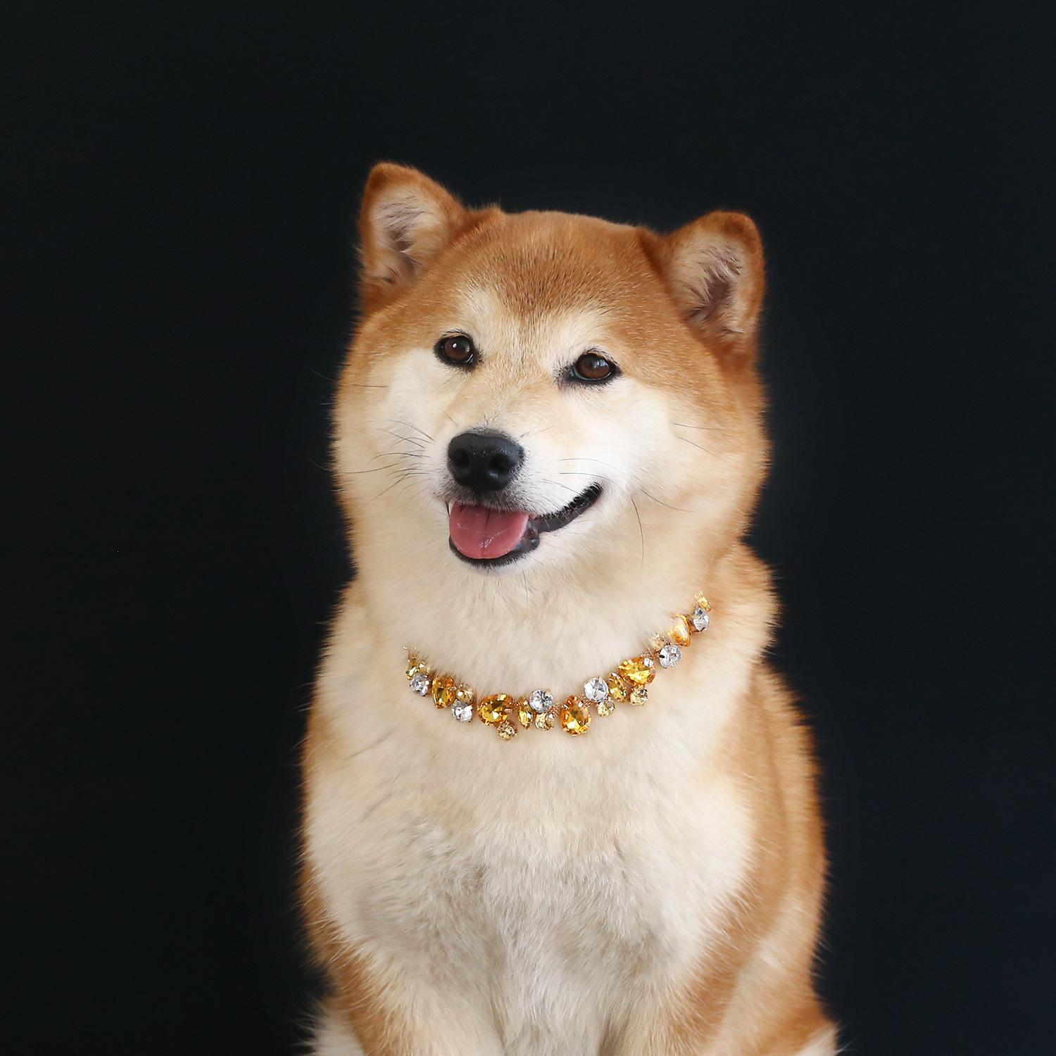 Luxury Pet Necklace: Gemstone & Crystal Chain Collar for Cats and Dogs - Full-Rhinestone, Princess-Style, Teardrop-Accent, Metal Wedding Collar