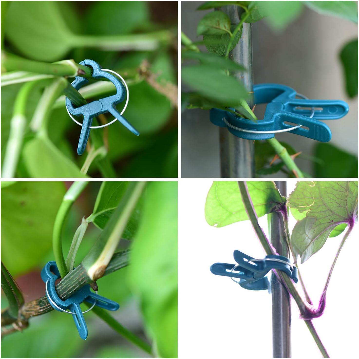 60 count  Clips 2 Sizes Adjusting  Garden  Supports Clips for Supporting Stems of Flower Vine Vegetables Tomatoes Climbing
