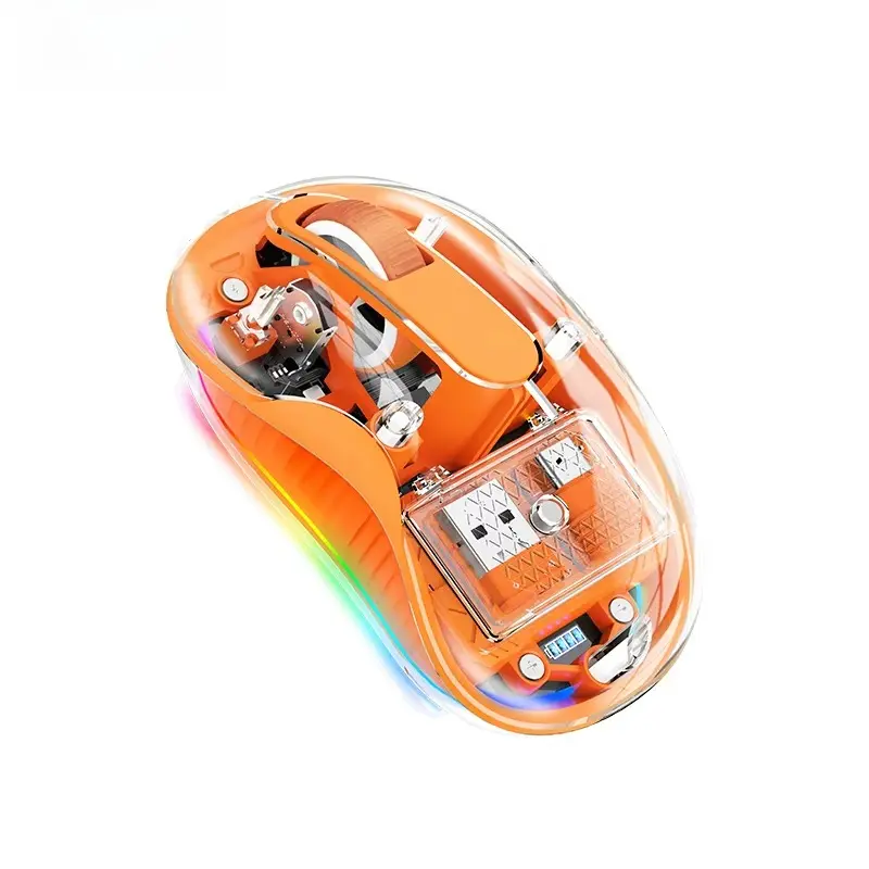 Ergonomic Transparent Wireless Mouse with USB-C Receiver, Dual BT & 2.4GHz Connectivity, Rechargeable, Silent Clicks, 2400 DPI, RGB Lights, ABS Plastic for Multi-Device Use