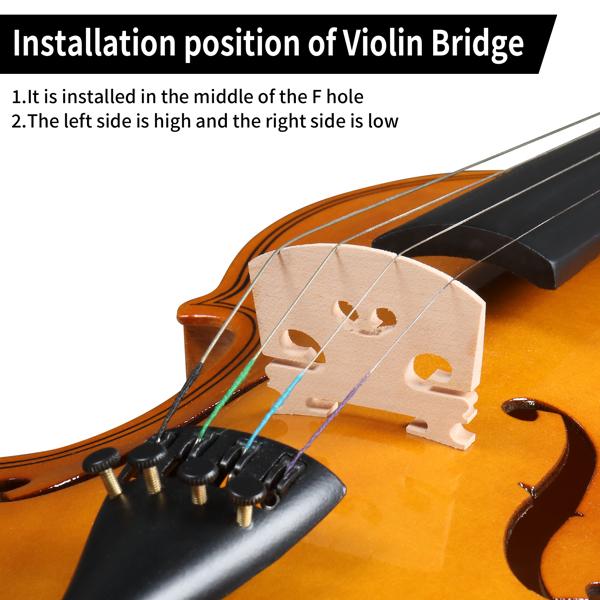 4/4 Violin Set for Adult Beginners and Students with Hard Case, Bow, Shoulder Rest, Rosin, Extra Strings, Pre Set Up Bridge
