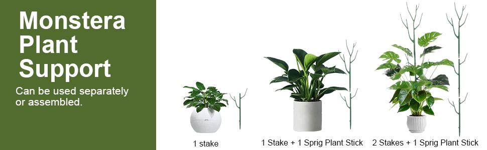 5 Pack Stackable Plant Stakes, Climbing Plant Structures for Monstera, Pothos, Philodendron Plant Stakes for Indoor Plants