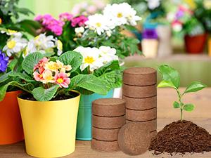 50 Pcs 30mm Organic Coco Coir Pellets for Seed Starter, Compressed Coir Potting Soil for Planting, Soil for Indoor Plants Herbs Flowers Vegetables 50 Pcs 30mm Organic Coco Coir Pellets for Seed Starter, Compressed Coir Potting Soil for Planting, Soil for Indoor Plants Herbs Flowers Vegetables
