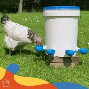 5pc large automatic chicken drinking fountains - easy flow technology for ducks, geese and turkeys - durable leak-proof poultry drinking solution Feeders