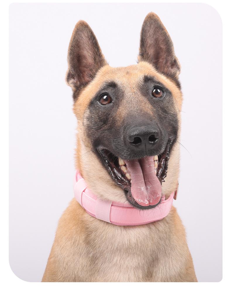 Heavy Duty Tactical Dog Collar with Leash, Reinforced Rivet Anti-Pull Collar for Large Dogs, Welded D-Ring, Quick-Release Zinc Alloy Buckle, Double Layer Nylon, Adjustable Padded Handle for Training Walking, Extra Strong Pet Collar for Big Breeds