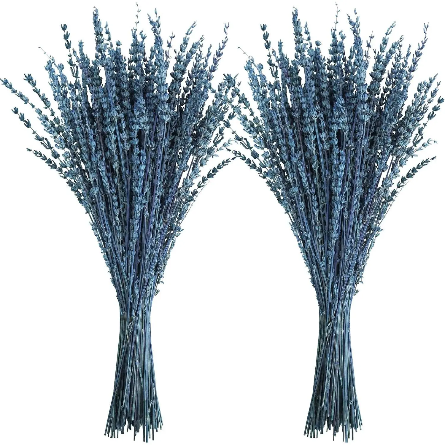 Dried Lavender Flowers, 16" Preserved Dried Lavender Bundles Blue Flowers Stems Bouquet for Shower Weeding Home Fragrance Vase Crafts Decor, 100g(3.52oz)