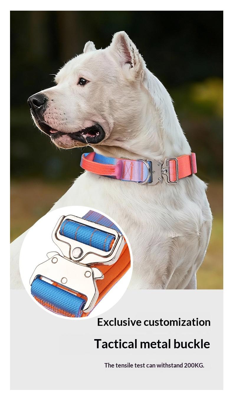 Heavy Duty Tactical Dog Collar with Handle, Adjustable Gradient Pet Collar for Medium Large Dogs