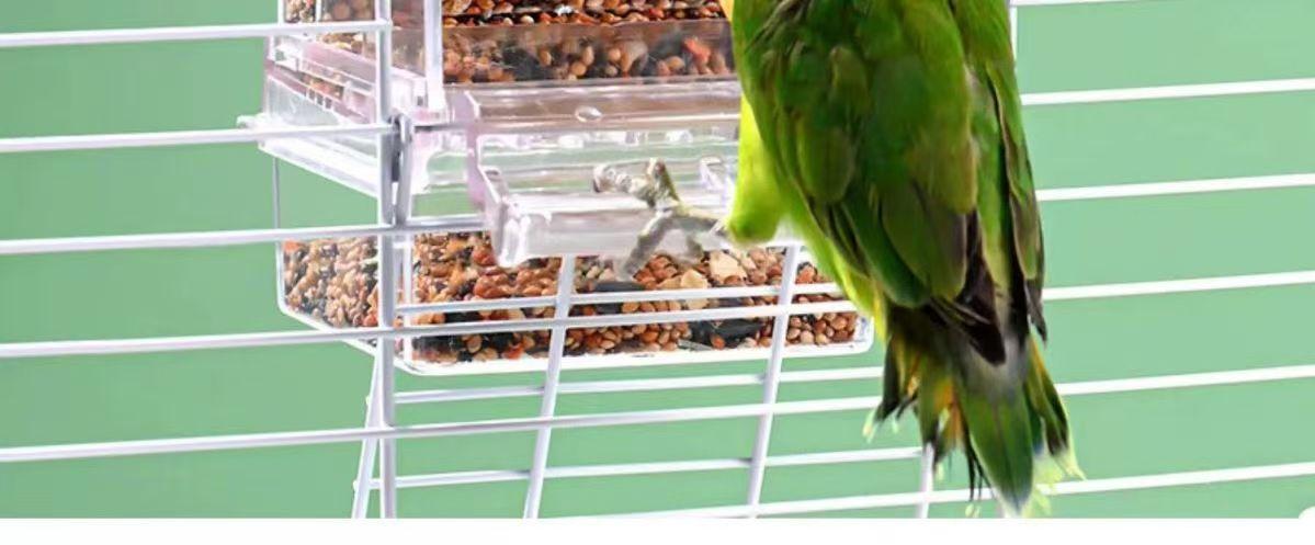 New Model Automatic Bird Feeder - Spill-Proof, Splash-Proof, and Transparent Dispenser for Cockatiels, Budgies, and Lovebirds