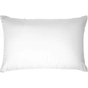 Temperloft  Pillow  Found in Hampton Inn by Hilton Hotels with BBH Pillow Protectors
