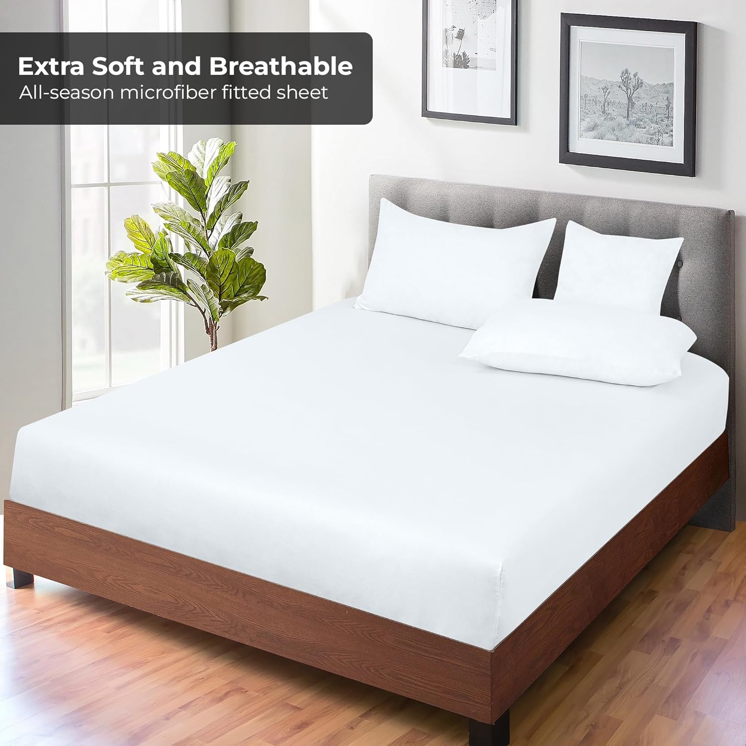 2 Pack Fitted Sheet - Elastic Sheets -  Fitted Sheet Only -Soft & Breathable - Brushed 1800 Microfiber- Stain Resistant- Hotel Quality Deep Pocket Stretches Up to 16" (, White)