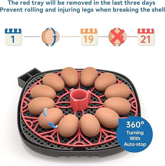 Egg Incubator for Hatching Chicks, Automatic Egg Turner Holds 12 Eggs, Smart Incubator 360 °   Clear Window with Temperature Display Egg Candler for Small Poultry Chickens Ducks Quails Eggs