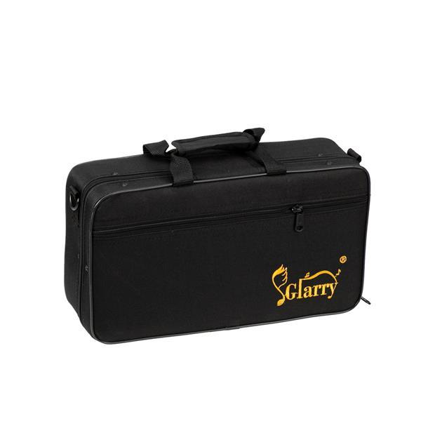 Beginner Bb Clarinet – 17 Keys Black Clarinet with 2 Mouthpieces & Connector, Easy to Learn，clarinet player Chrome Durable Oboe Instrument Bamboo Flute Fathersdaygift