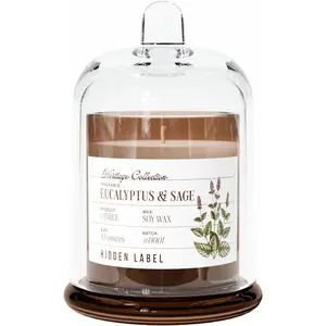 Eucalyptus &  Sage Candle, 10oz Non  Soy Candle in Clear  Jar, 55-Hour Clean  | Mountain  , Laboratory Aesthetic  Decor, Luxury  for Clean Living