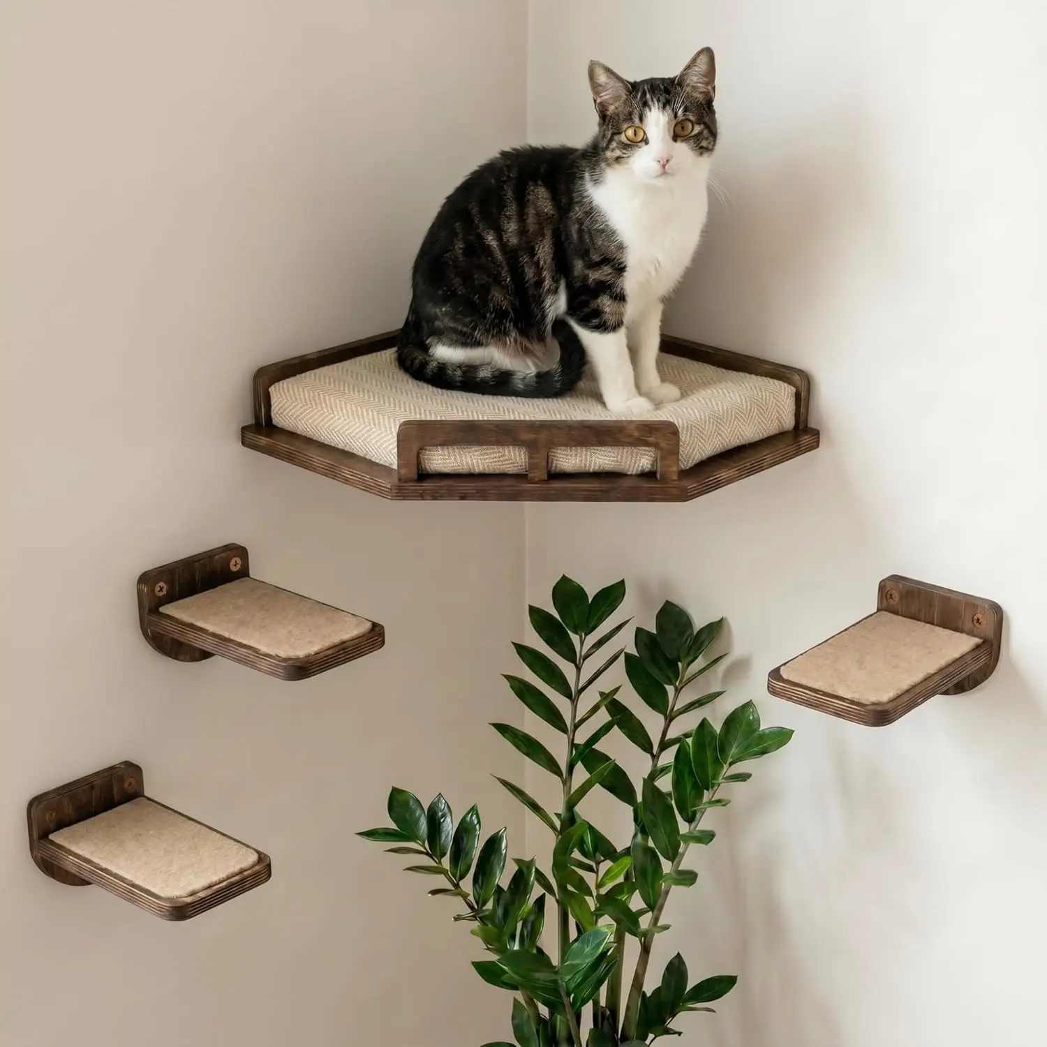 Safe Sturdy Cat Wall Shelves, Stylish Natural Wood Corner Cat Wall Furniture with 3 Steps for Cats up to 15lbs, Cushioned Perch and Stairs for Climbing Playing, Dark Brown