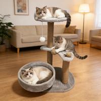 Grey cat climbing frame-