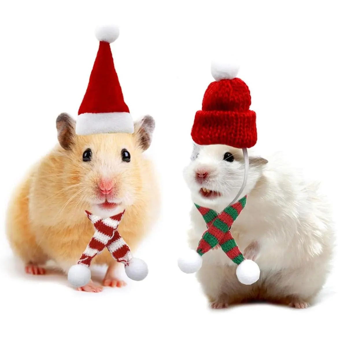 Small  Christmas Costume - Christmas Guinea Pig Hat and Scarf for Hamster Guinea Pig Chinchilla Hedgehog Lizard Bearded Dragon and Other Similar Small  S
