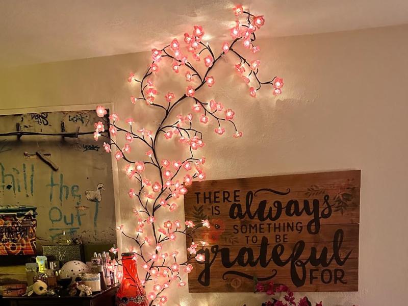 BASIC SUPPLY DIY Cherry Enchanted Willow Vine Lights,4 FT 48 LED Cherry Blossom Lights with Remote Timer,8 Lighting Modes,LED Tree Branch Light for Wall,Cherry Blossom Wall Decor for Bedroom Living Room Window