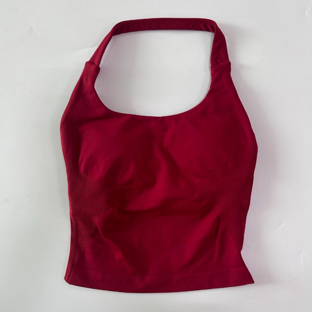 Seamless Halter Top Backless Longline Strappy Padded Gym Top Women Built-in Bra Removable Cups Activewear Yoga Workout Tank Tops Seamless Halter Top Backless Longline Strappy Padded Gym Top Women Built-in Bra Removable Cups Activewear Yoga Workout Tank Tops