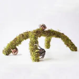 12 Inch Hermit Crab Climbing Toys, Ideal Hermit Crab Habitat Tank Accessories, Adjustable Hermit Crab Suppliesfidget toys