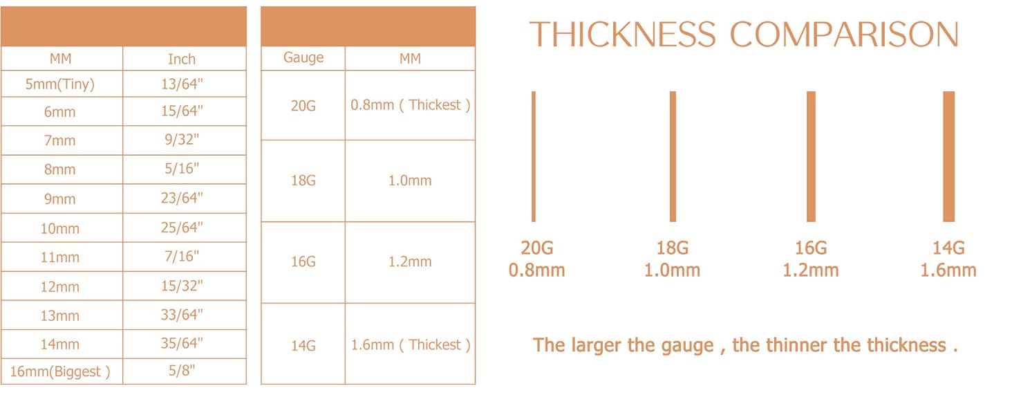 LOLIAS Surgical Steel Nose Rings Hoop Nose Clicker Ring Septum Jewelry 16G 18G Nose Hoop Lip Rings Nose Helix Cartilage Rook Earrings Nostril Piercing Jewelry Hypoallergenic