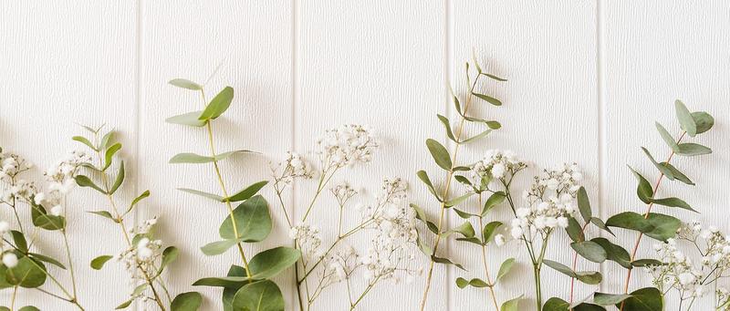 Set of 2 Enamel Bowls, 3 Quart Large Enamel Mixing Bowls, White Enamelware with Red Rim, 11 Inch Vintage Enamel Soup Basins for Fruit, Salad, Pasta, Dinner