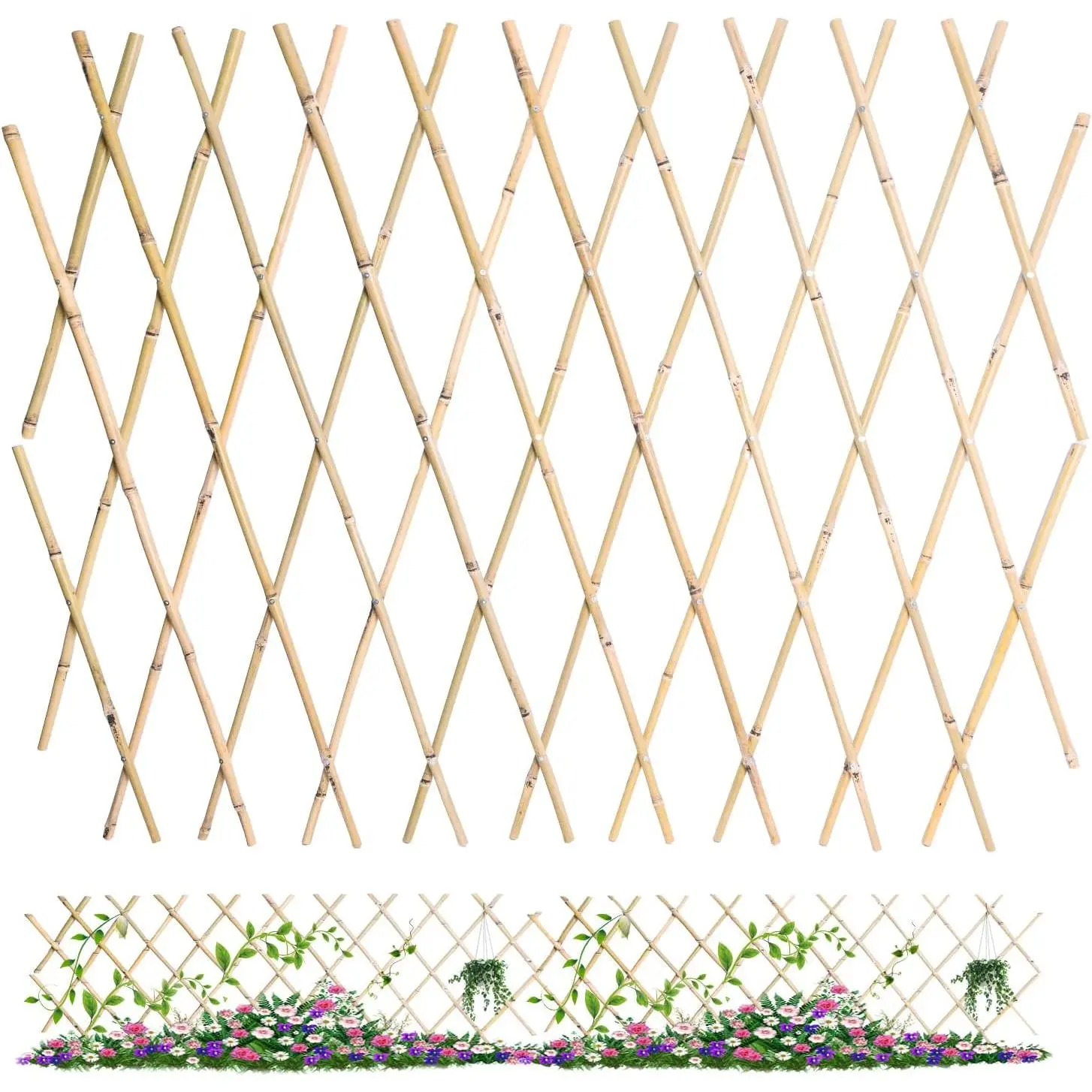 48x72 Inch Expandable Bamboo Trellis, Garden Lattice Fence, Expandable Fence for Climbing Plants, Vines & Ivy,Pet & Dog Barrier（Pack of 1）