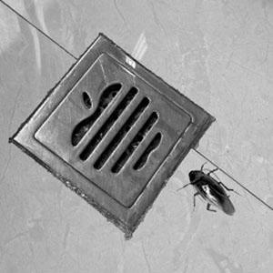 1pcs Tub Stopper Silicone Large Kitchen Sink Bathtub Stoppers Flat Drain Cover Suction Plug, Heavy Duty(Blue) 1pcs Tub Stopper Silicone Large Kitchen Sink Bathtub Stoppers Flat Drain Cover Suction Plug, Heavy Duty(Blue)