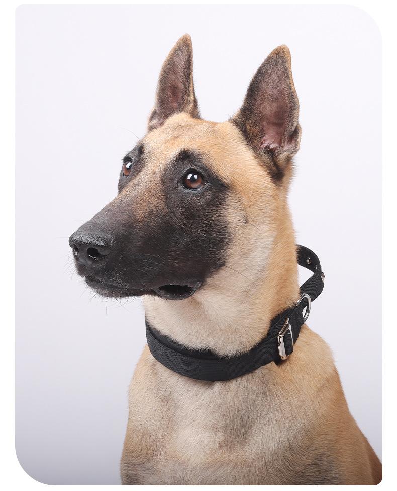 Heavy Duty Tactical Dog Collar with Leash, Reinforced Rivet Anti-Pull Collar for Large Dogs, Welded D-Ring, Quick-Release Zinc Alloy Buckle, Double Layer Nylon, Adjustable Padded Handle for Training Walking, Extra Strong Pet Collar for Big Breeds