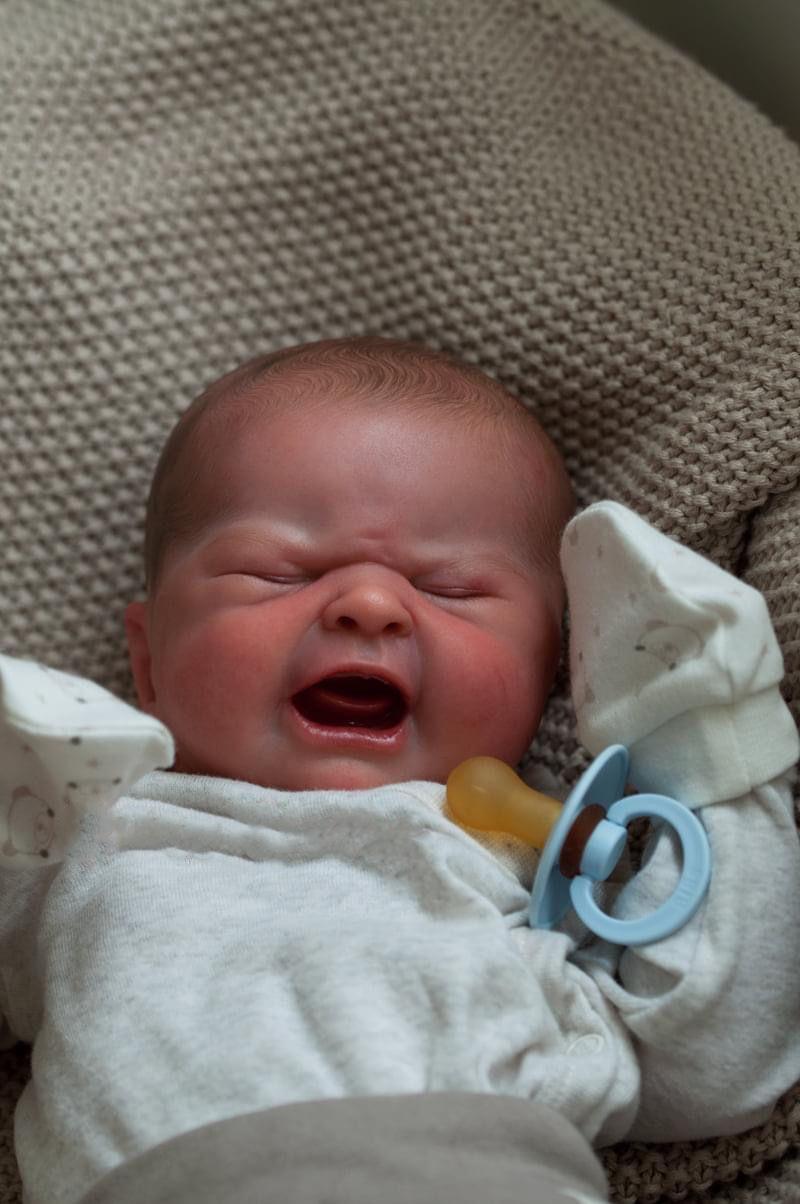 19inch Real Baby Dolls That Cry on Their Own Soft Silicone Head Limbs Cuddly Cotton Body Hand Painted Hair with Veins Acrylic Eyes Lifelike Reborn Stuffed Animal for Kids 3+ Water Resistant