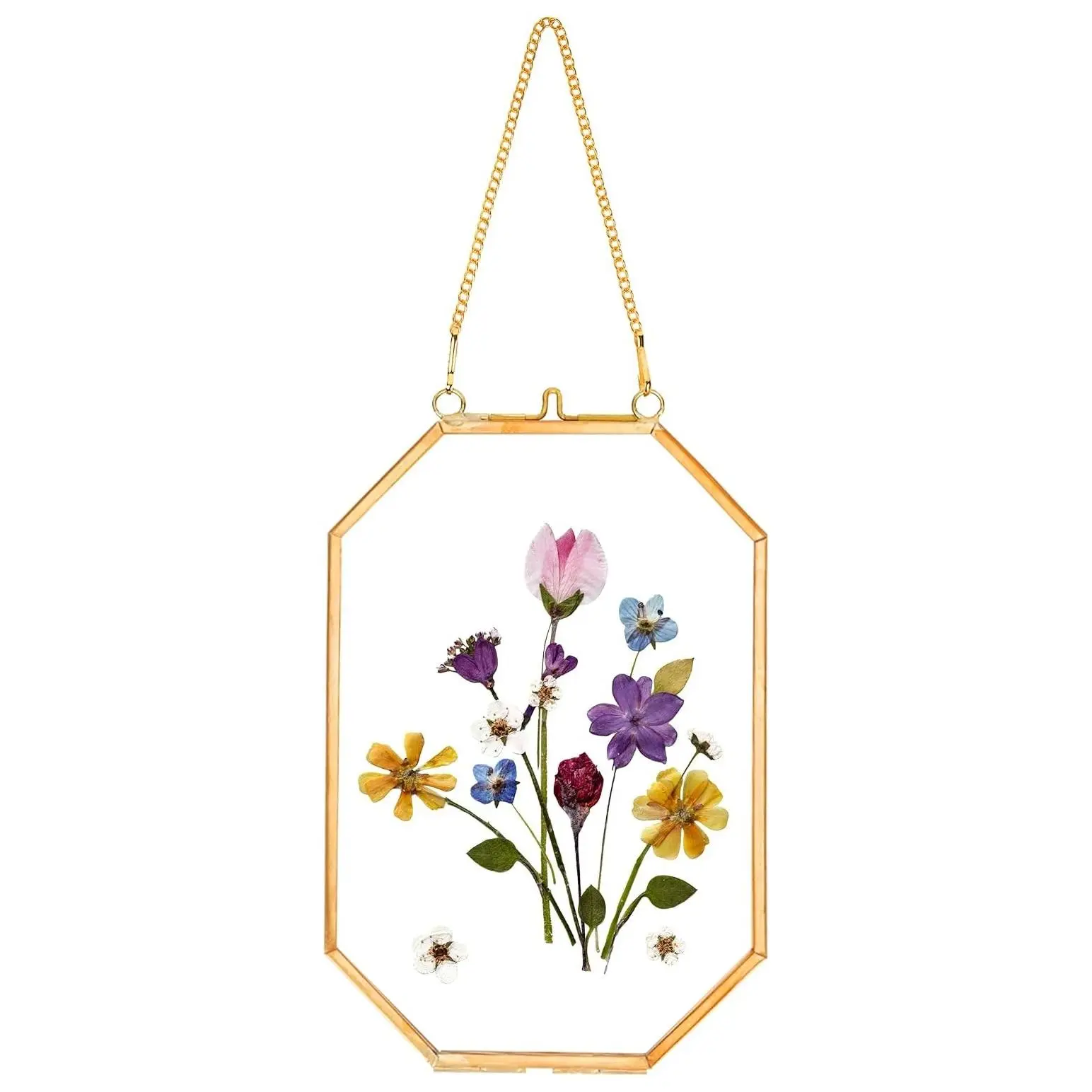 Pressed Flower Floating Frame for Display Dried Plant Specimen Picture, Hanging Brass Photo Frame with Chain, Double Clear Glass, Vintage Wall Decor, Octagon, Gold, 4x6 InchesGift