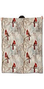 SoftHaven Mystical Desert Succulent Blanket Gifts for Women Adult Girls,Cactus Gothic Throw Blankets,Soft Comfy Lightweight for Home Couch Bed Sofa Halloween Decor,Goth Night Sky Art 60x80in