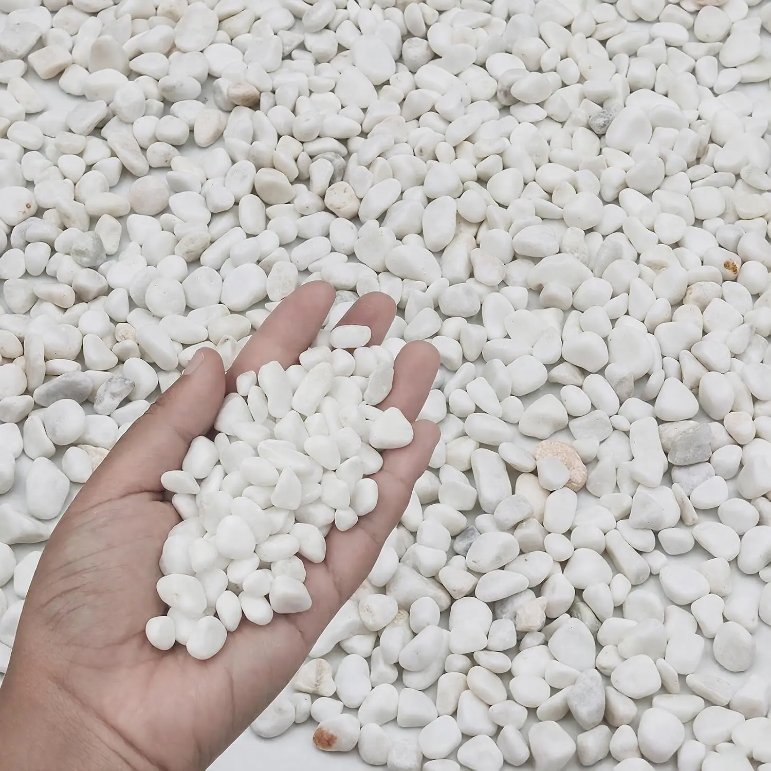 3LB White Succulent & Cactus Gravel  - 1/4-3/8 Inch  Polished River Rocks, Decorative Stones for , Terrariums, Vases, Aquariums & Outdoor Gardening