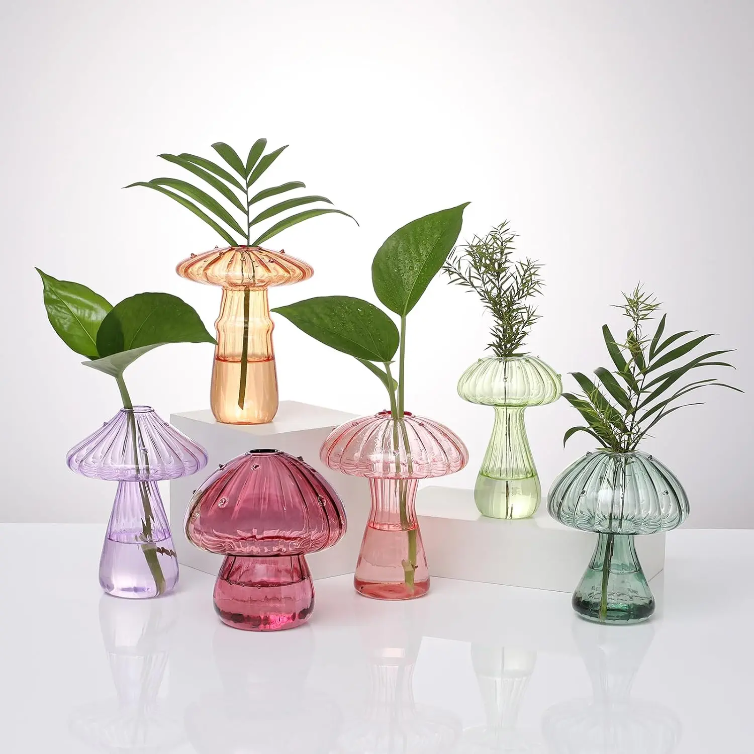 Mushroom Glass Propagation Terrarium Vases for  Set Colored of 6 |  Colored Mushroom  Propagation Stations,Small Terrarium Jar Hydroponic Propagation Vases Indoor  Pots