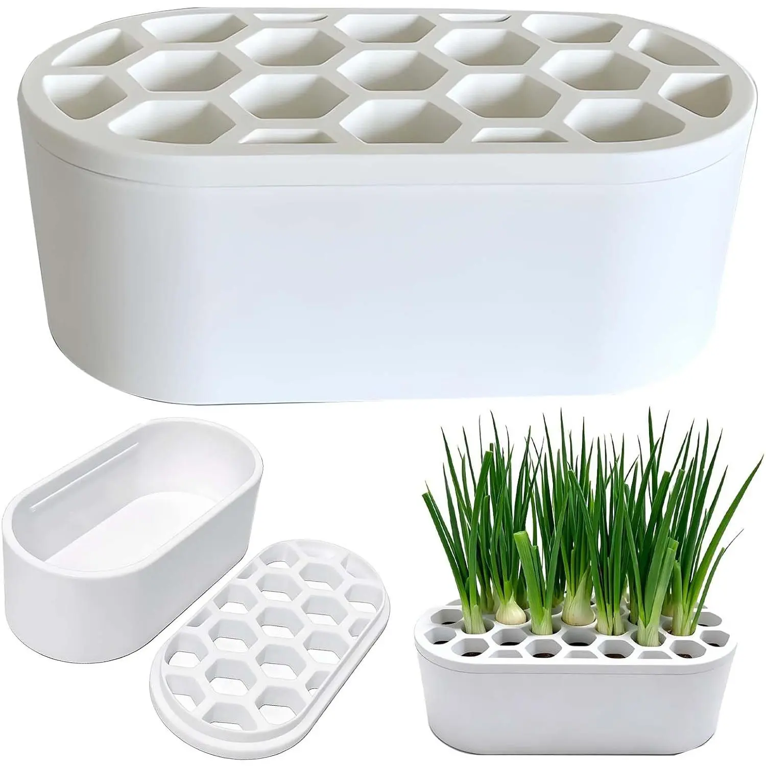 Printed Rectangular PLA Plastic Green Onion Planter Trays - Hydroponic Propagation, Seedling Starters for Indoor Garden Hydroponic Use (White)