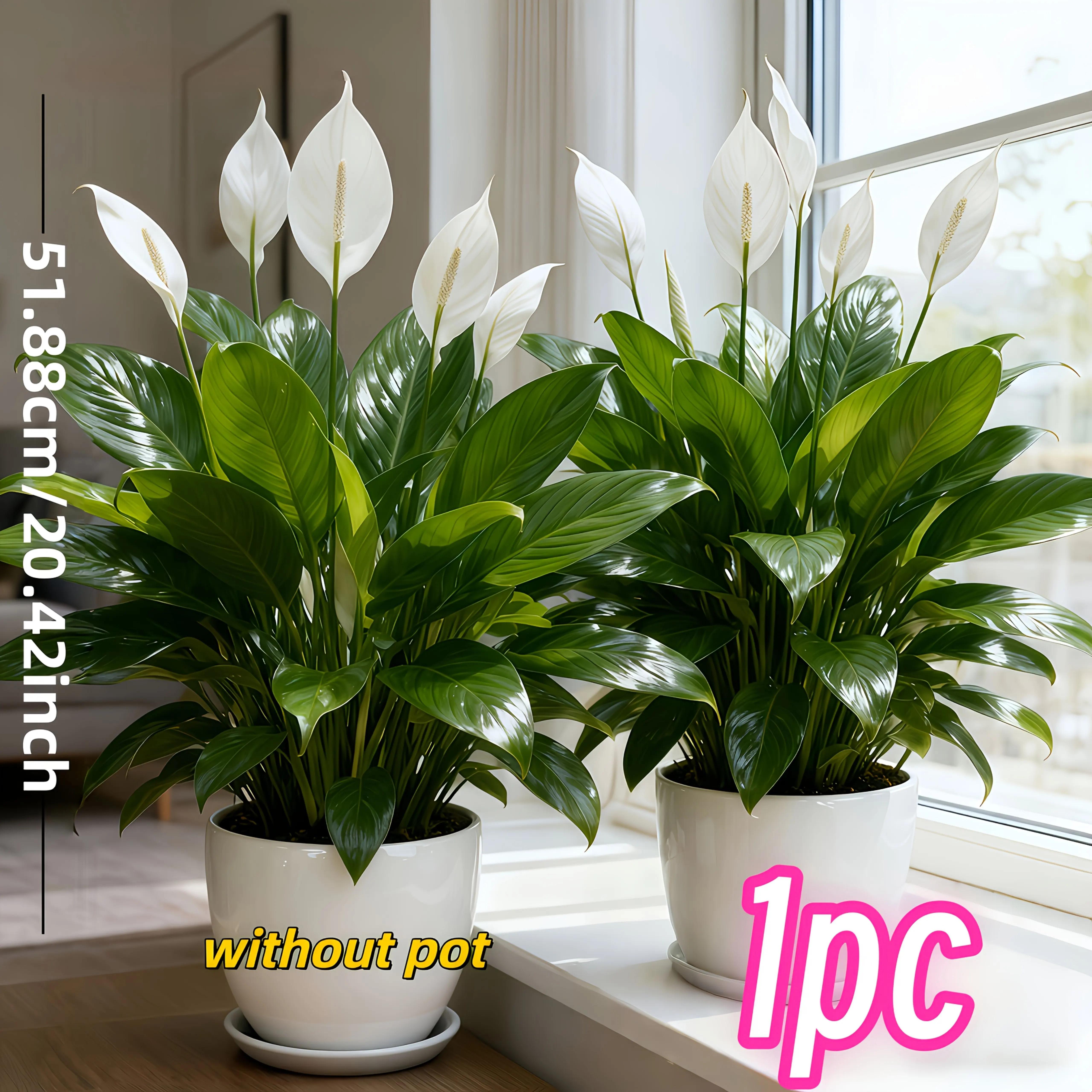 Low-Maintenance Artificial & White Peace Lily Flowers with Green Leaves - Realistic Outdoor Plant Suitable for Home