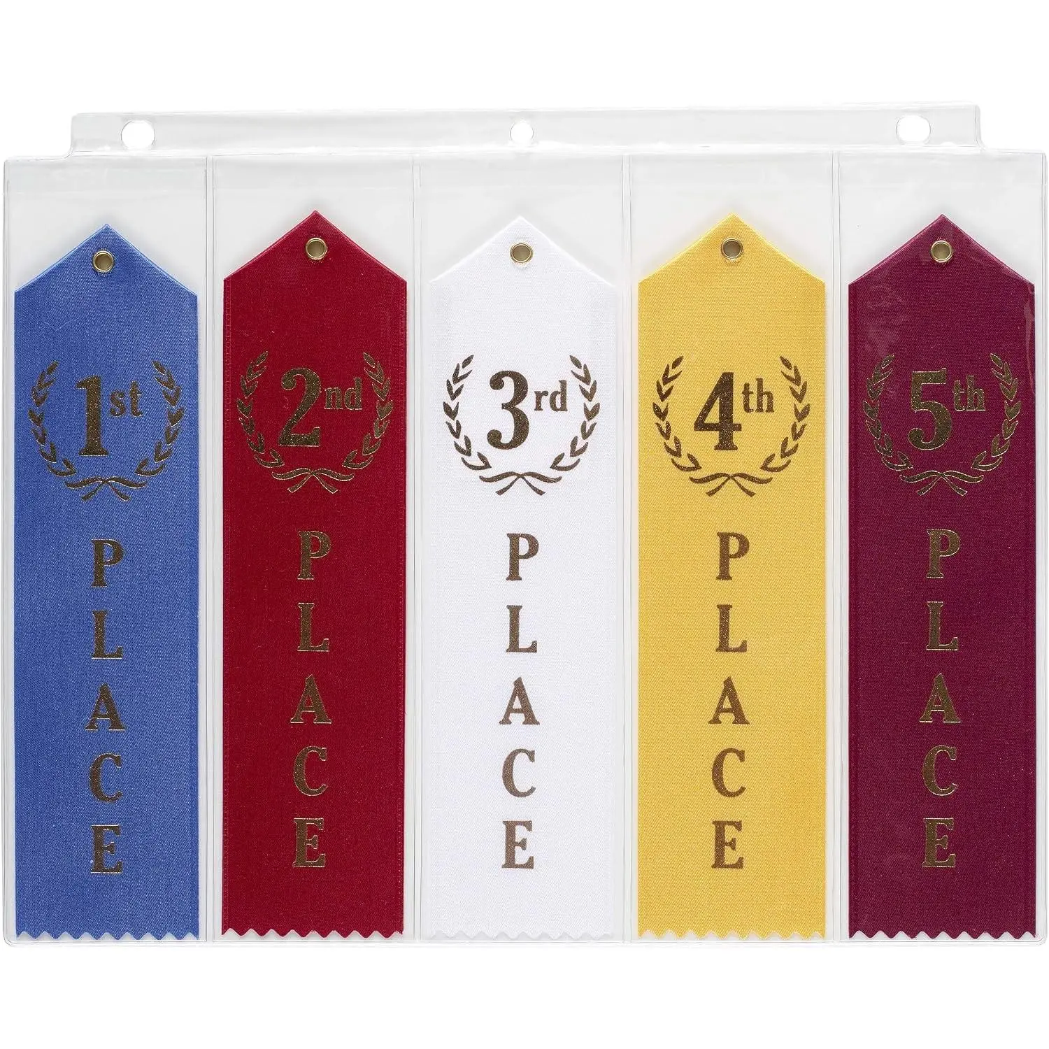 10 Swimming Ribbons Organizer Holder Display Storage Gymnastics Track Award Ribbon Strong Clear Robust Binder Pages Sheets