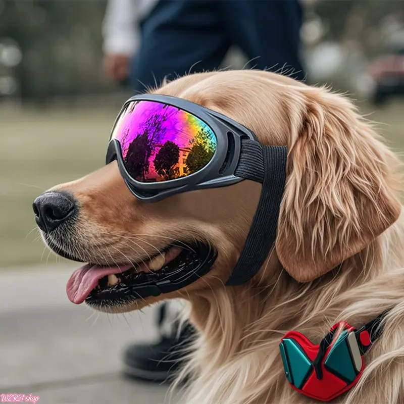 Windproof Dog Goggles for Medium Large Dogs, Adjustable Pet Sunglasses Eye Protection Glasses, Pet Outdoor Headwear for Cycling Hiking Driving Daily Outside Activities