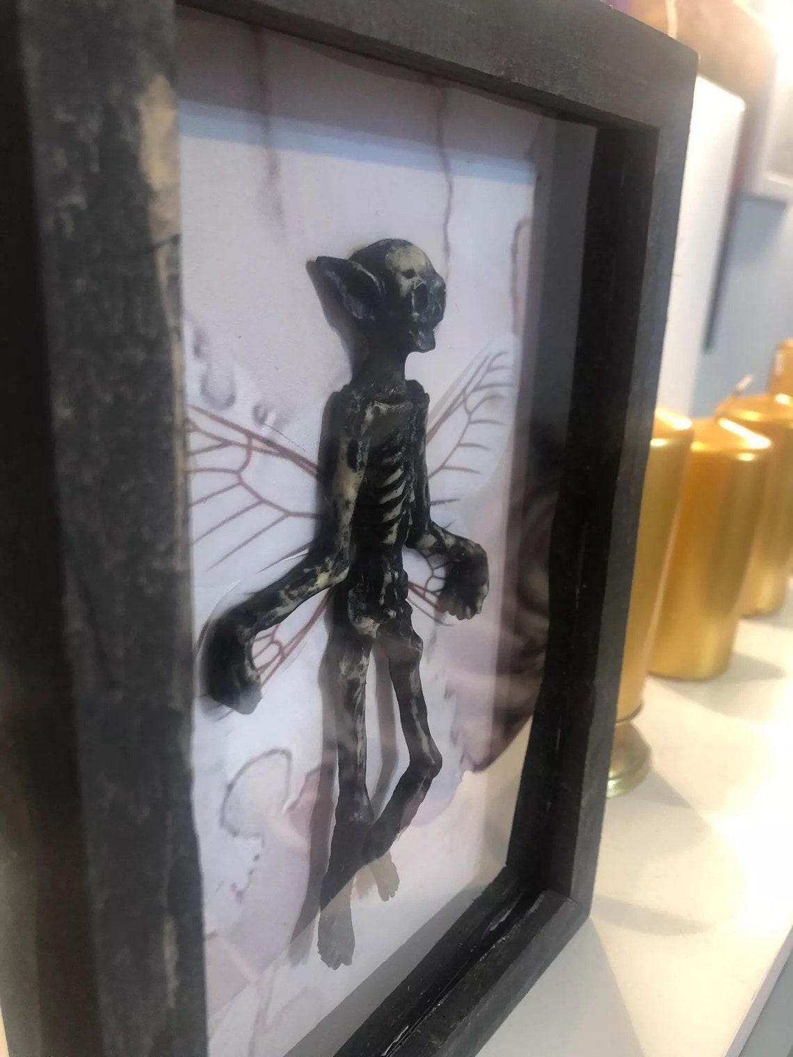Gothic home decor Mummified fairy Fairy skeleton Witchy decor Fairy specimen Statue Picture Frames Display Painting 2023